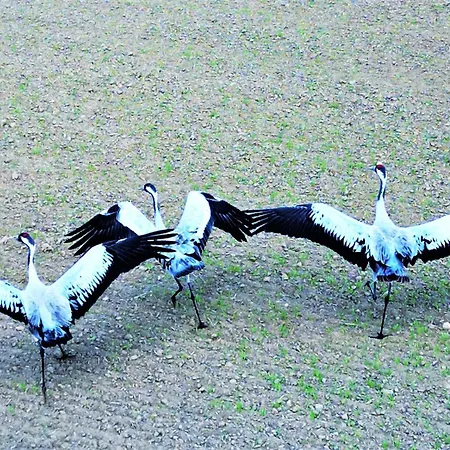 Marina Iv - Super Widok Na Jezioro, 10 M Do Wody, Taras I Balkon, Winda, Klima, Garaz Appartement